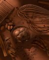 Gourmand-au lait-cacao-equateur-qualité-gourmand-et bon-patisserie-chocolat au lait-gastronomie-cuisine